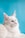 white cat on white textile
