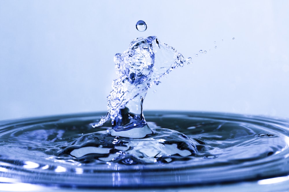 salpicaduras de agua en la fotografía de primer plano