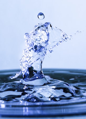 water splash in close up photography