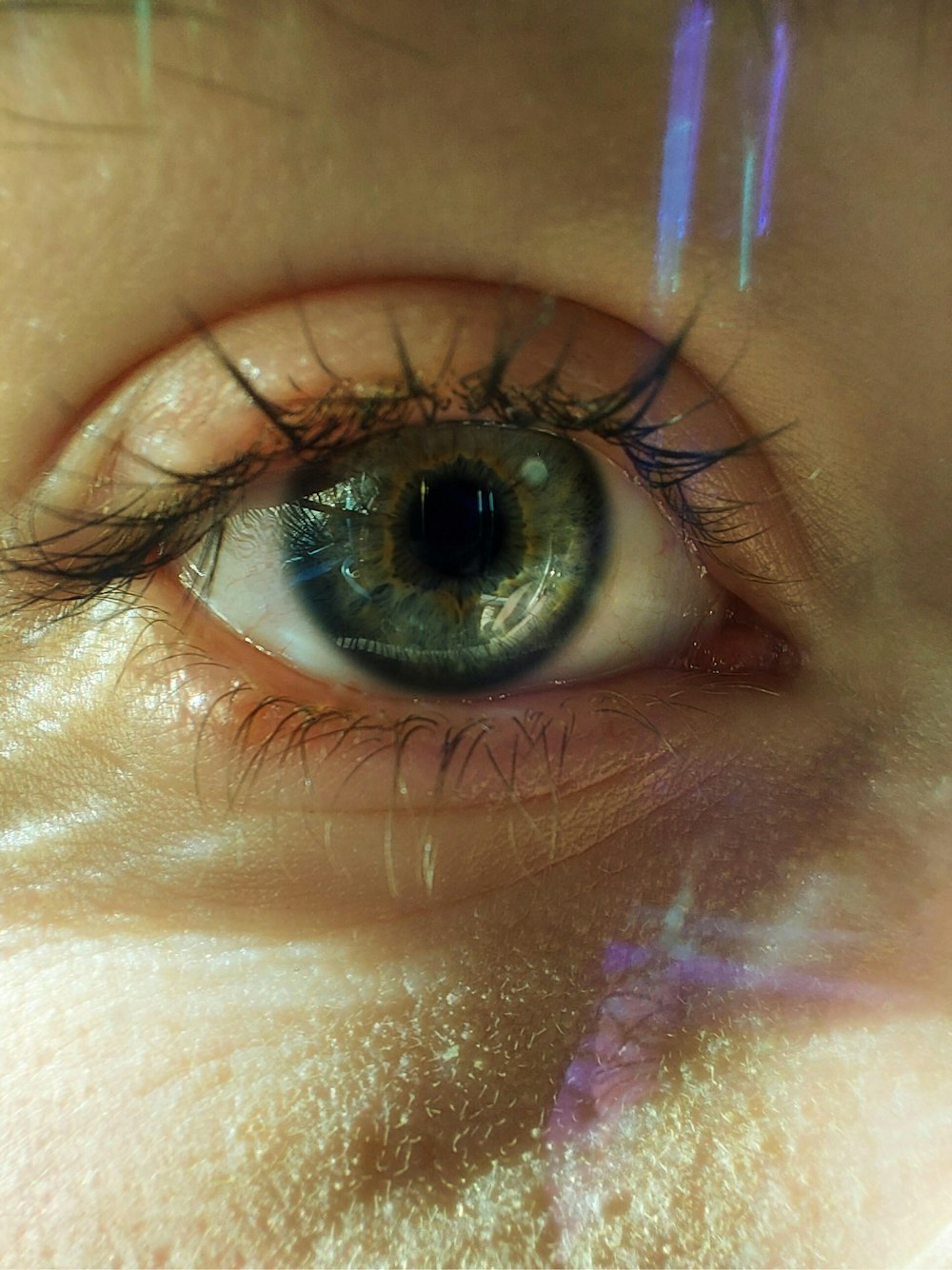 persons eye with blue eyes