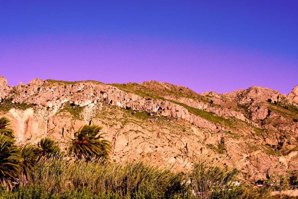 green grass on brown mountain under blue sky during daytime