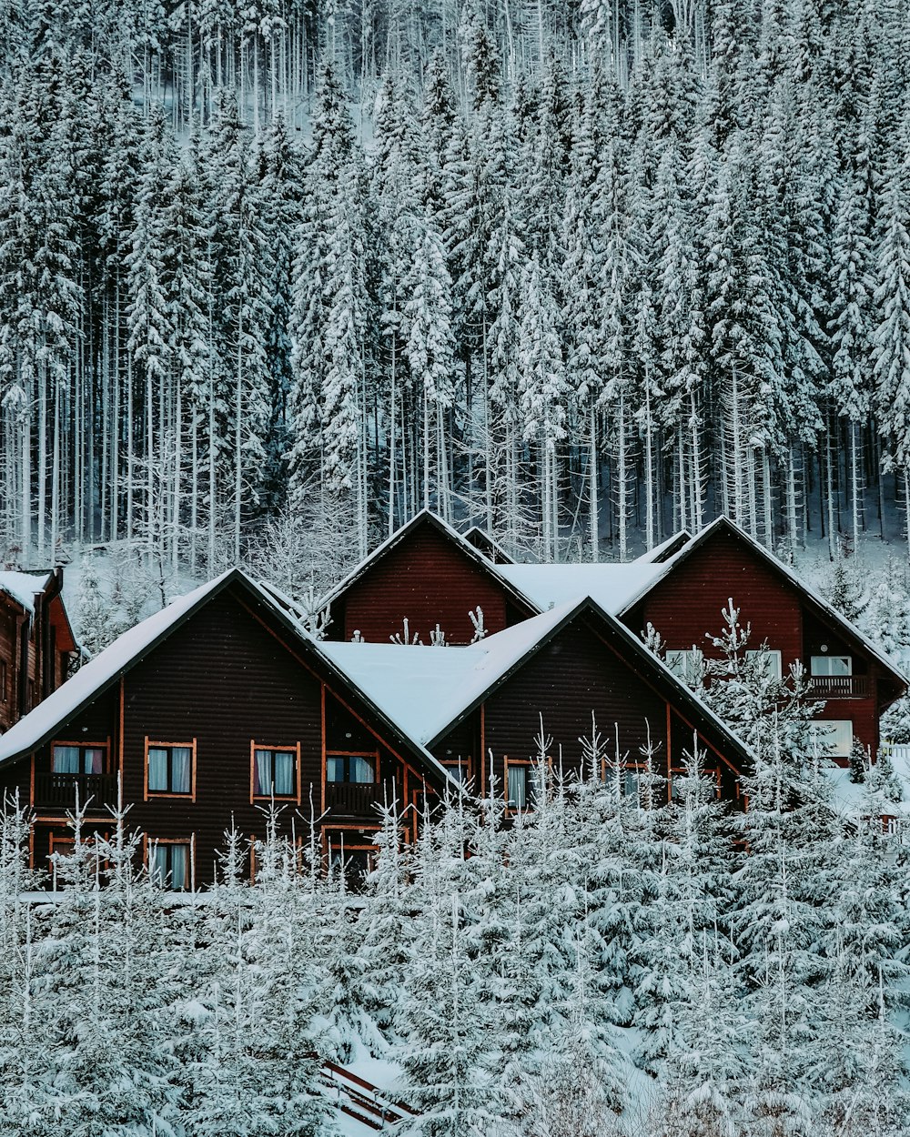 brown wooden house in the middle of snow covered forest