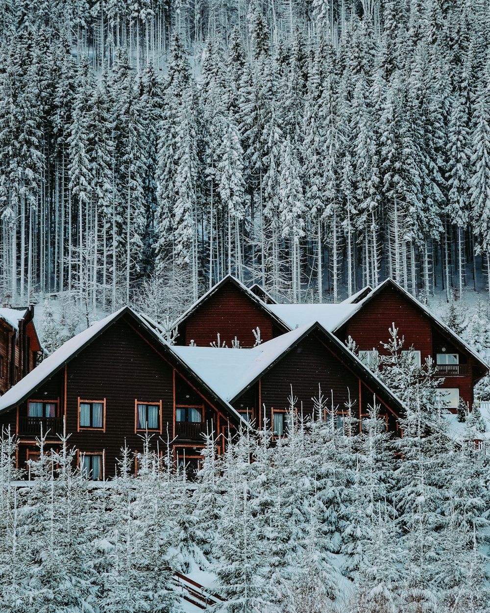Braunes Holzhaus mitten im verschneiten Wald