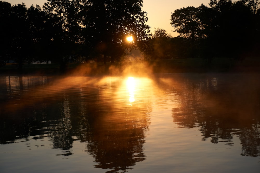 body of water near trees during sunset