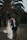 a newly married couple walking through a field
