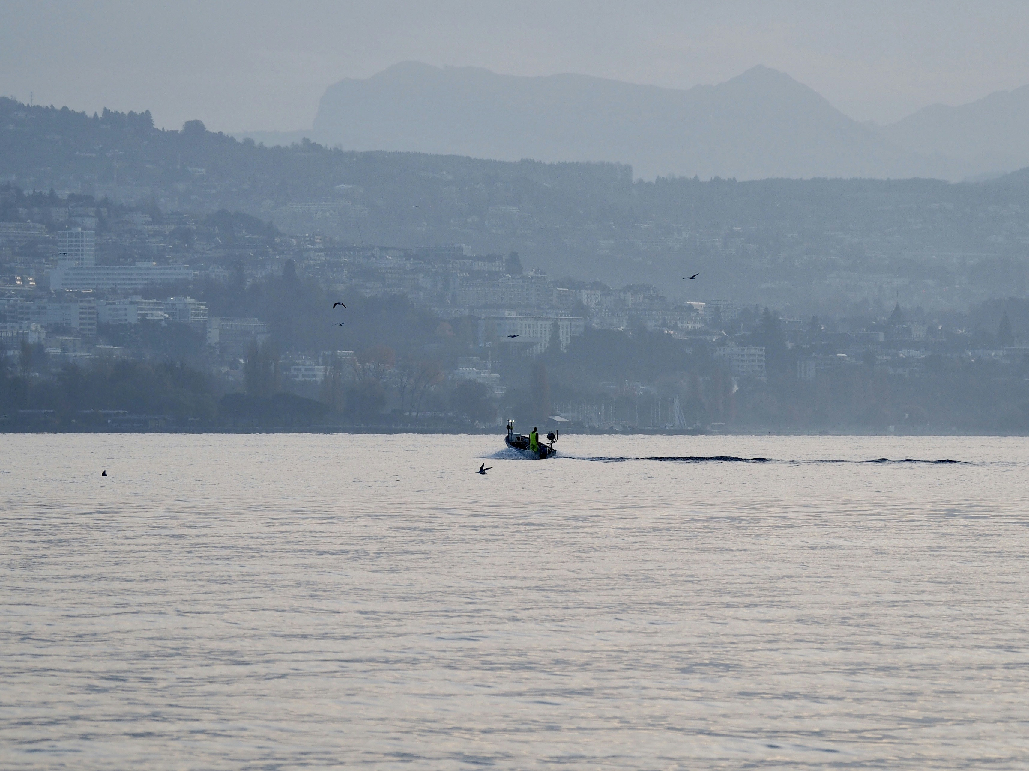 Photo by ahda_gallery