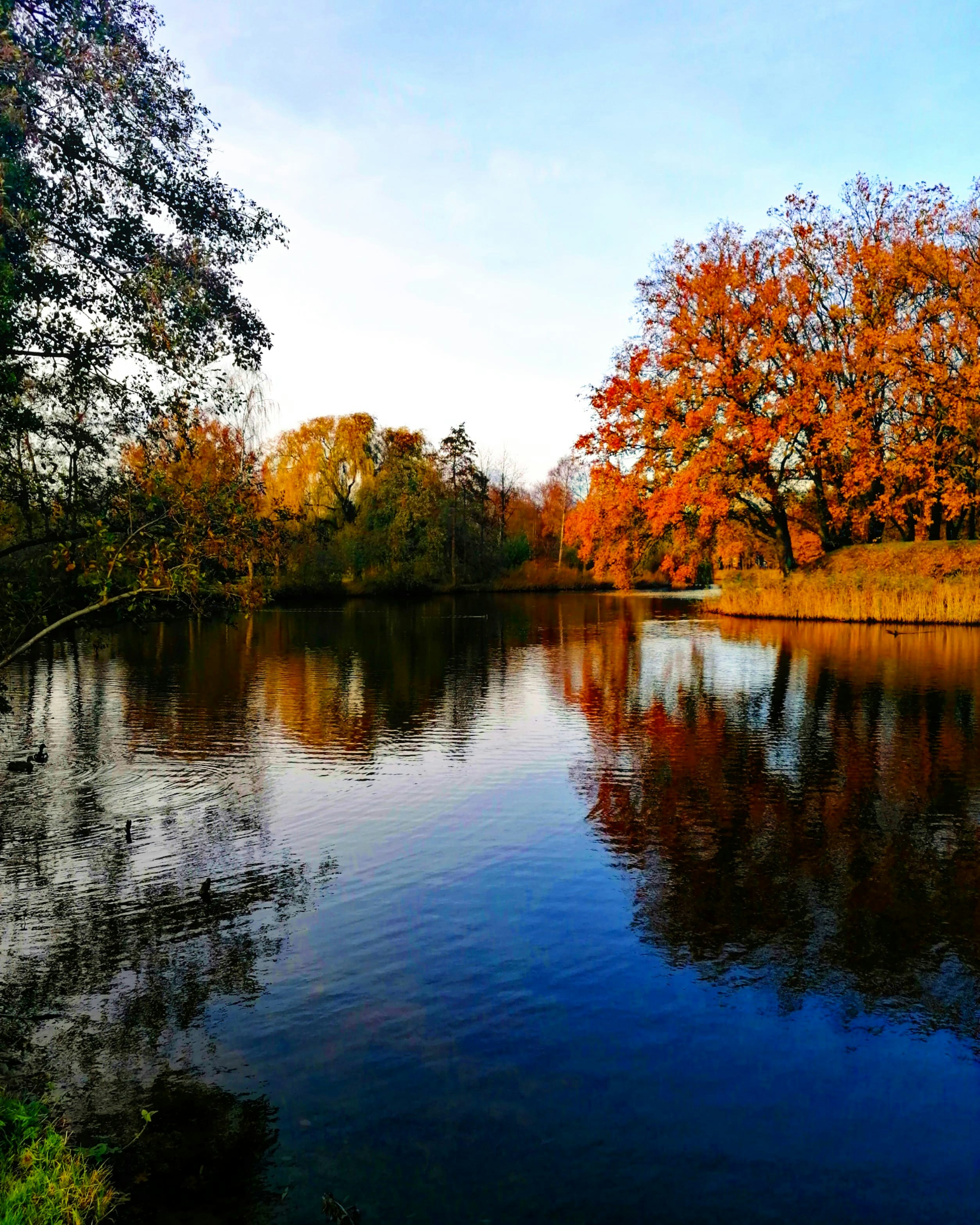 Photo by daniela_photos