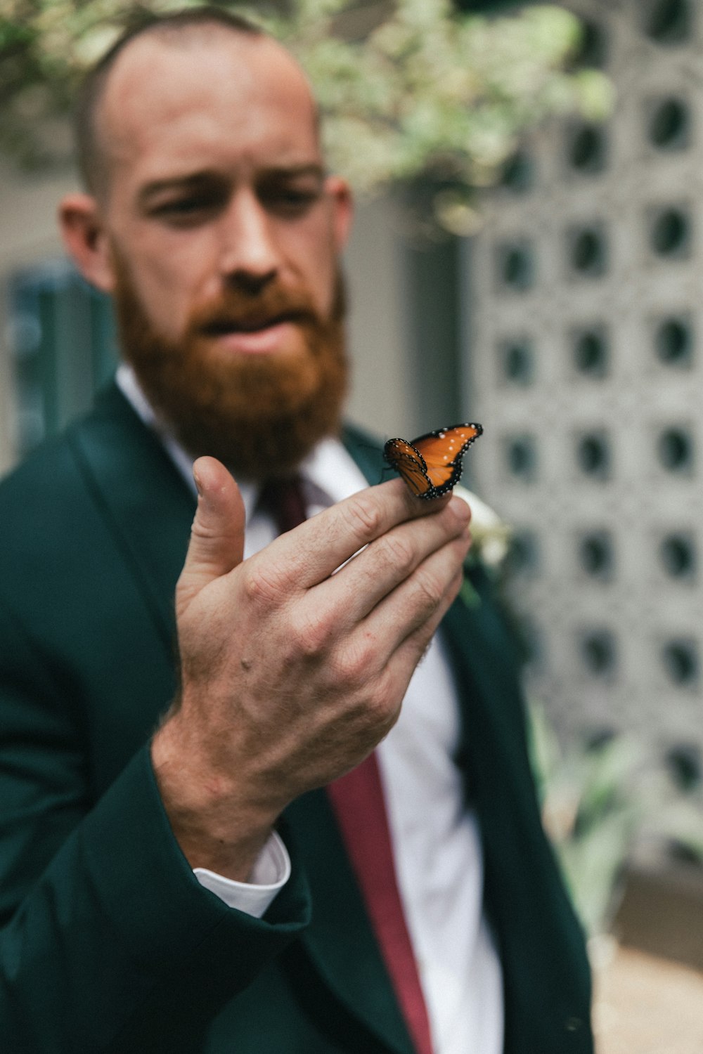 man in black suit holding brown leaf