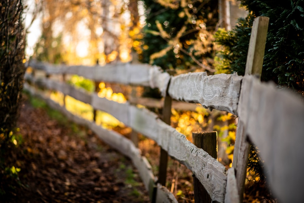 brown wooden fence near trees during daytime