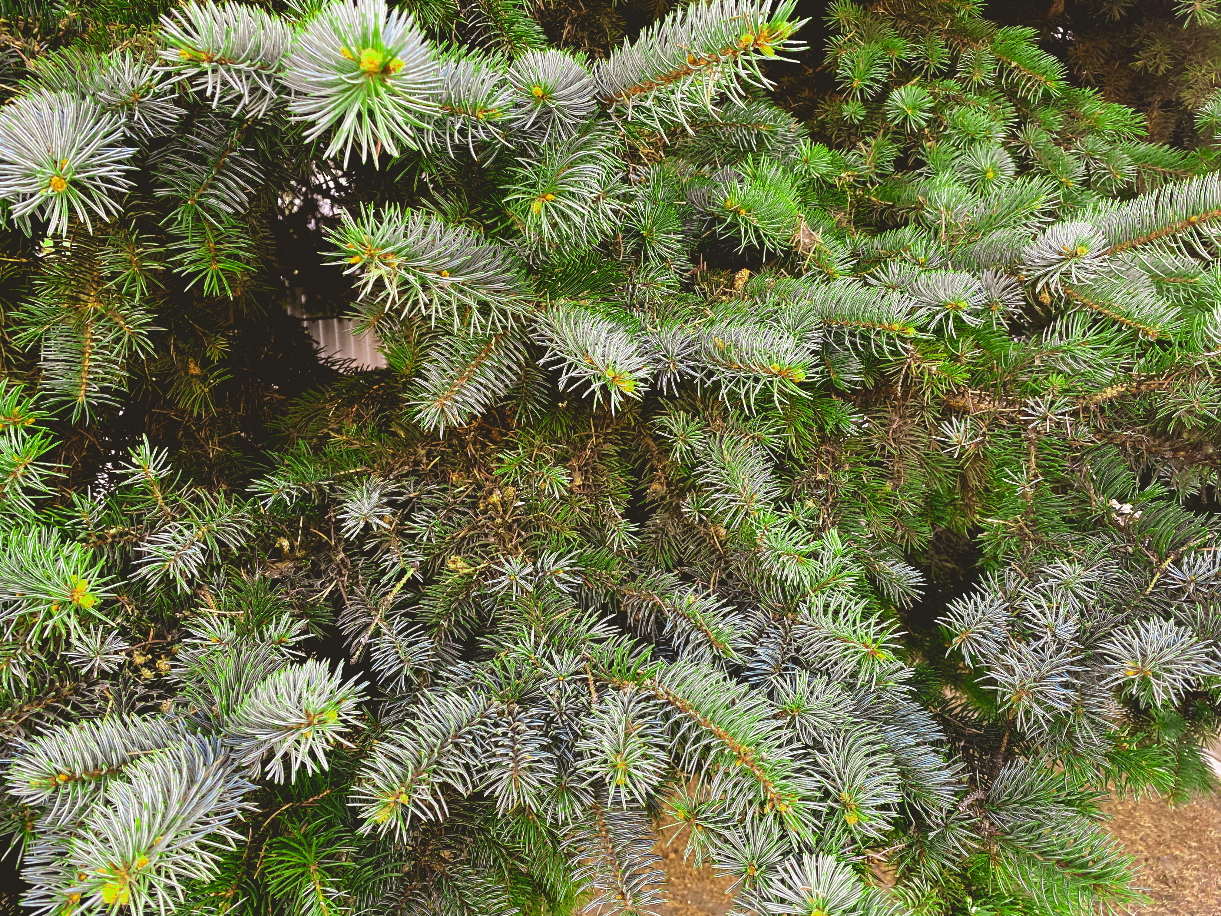 Photo by evgenyarsenev