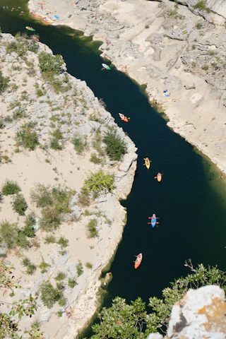 people on beach during daytime