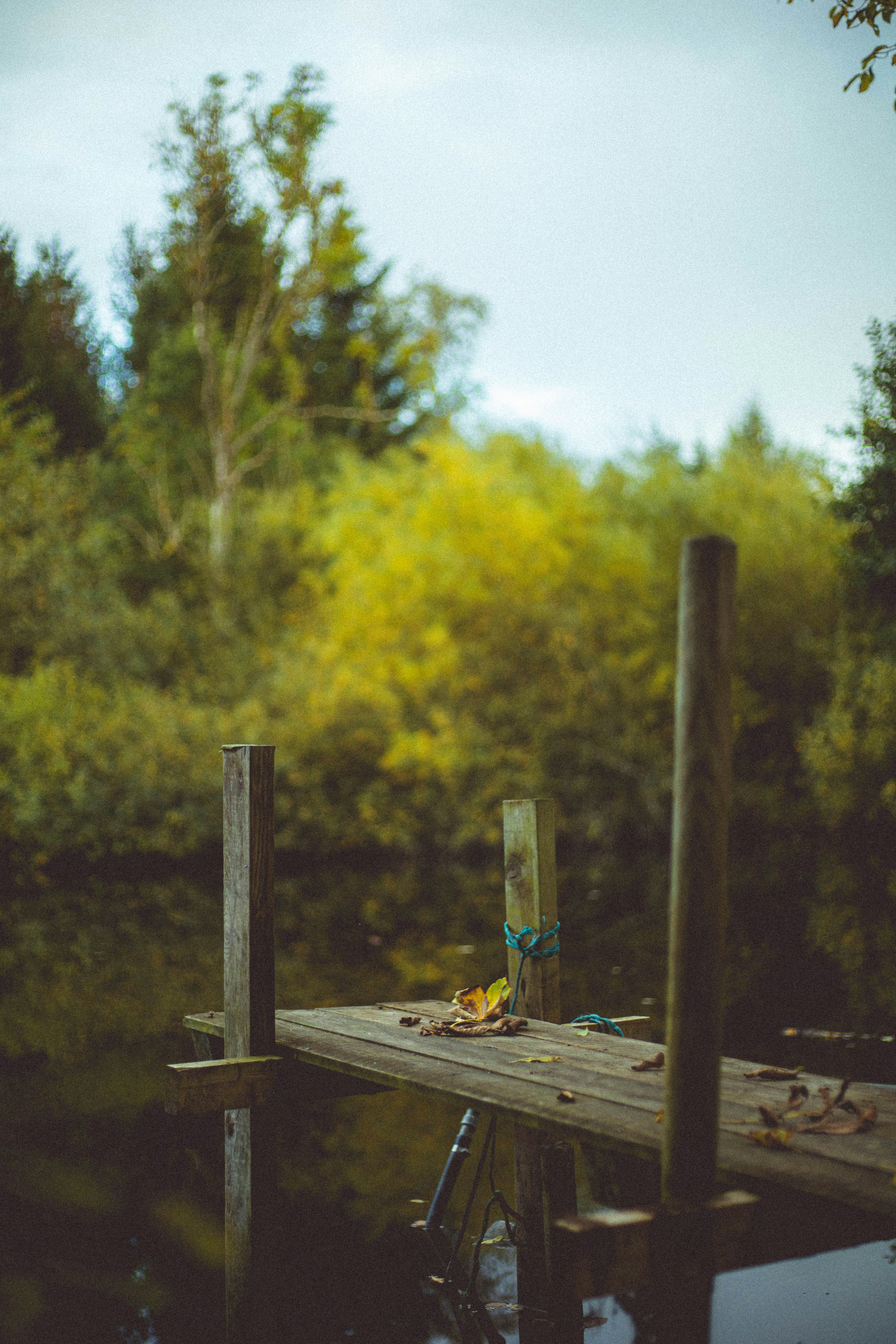 Photo by silasvanovereem