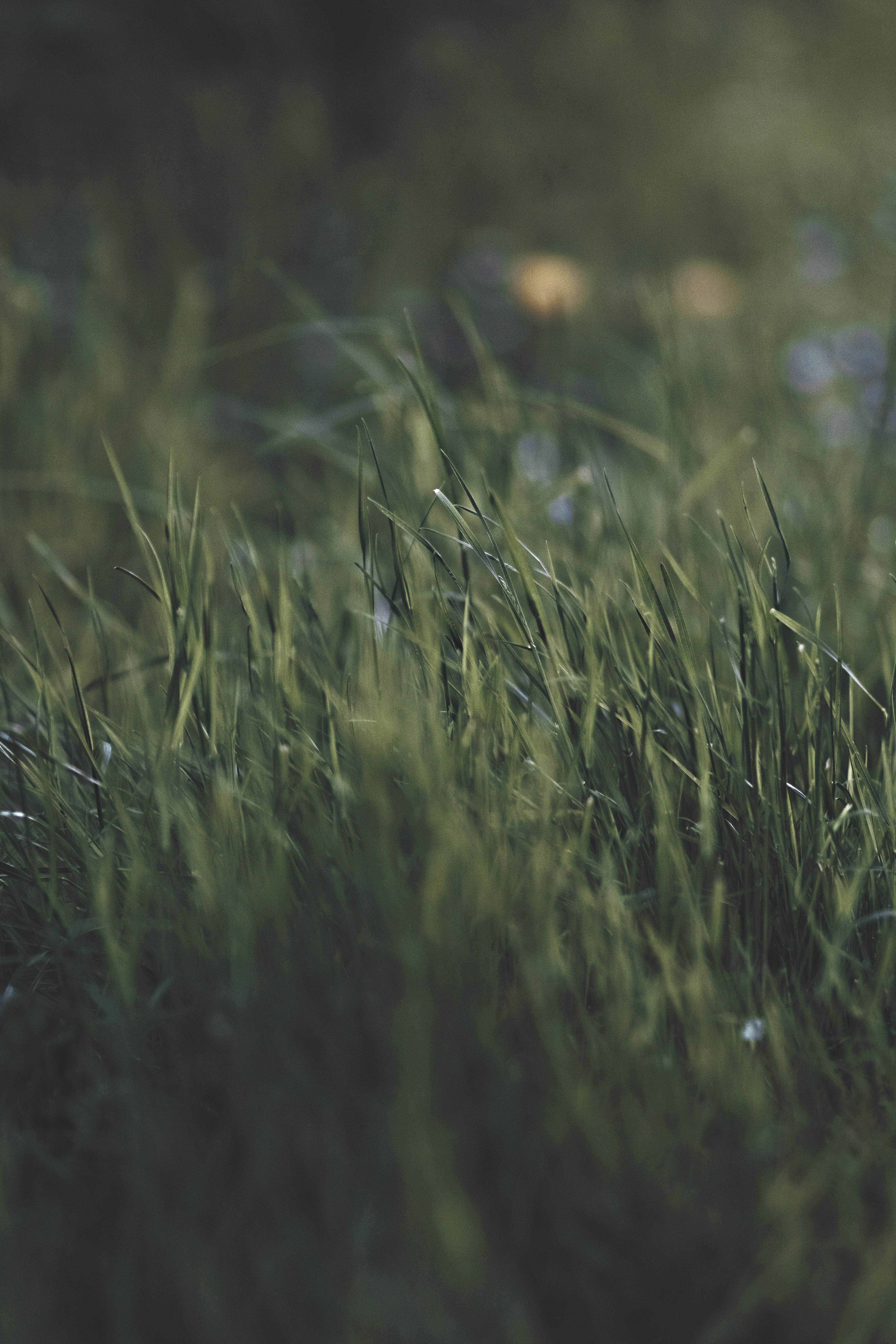 Photo by markobrecic