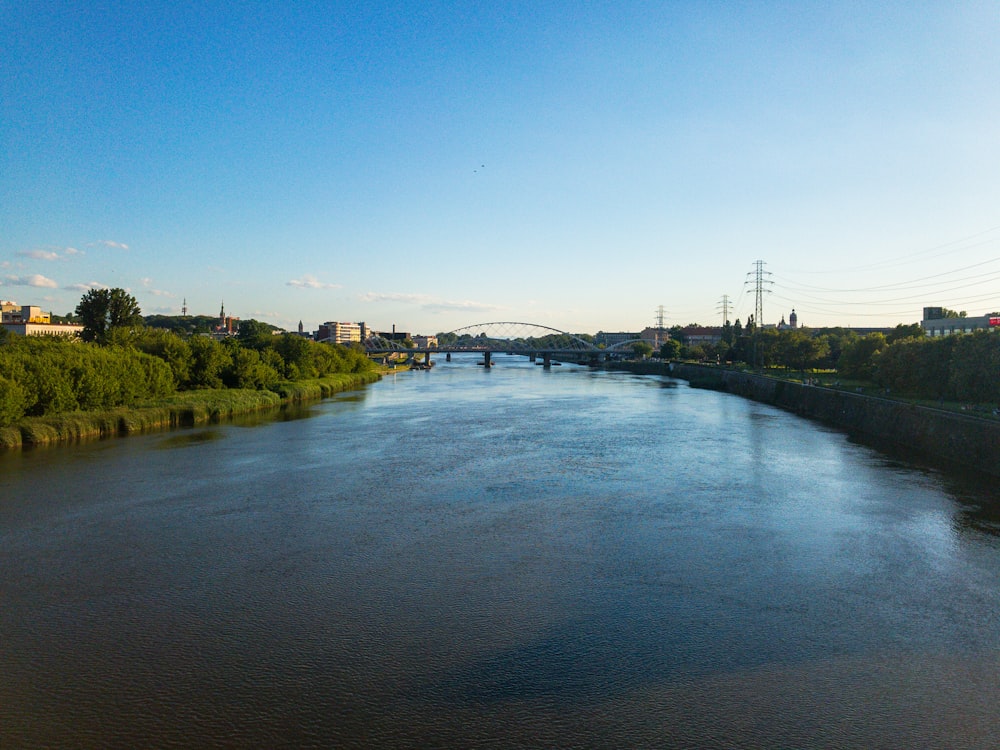 green trees beside river under blue sky during daytime