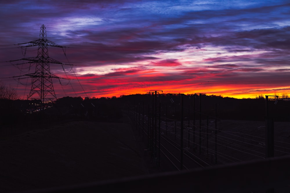 silhouette of trees during sunset