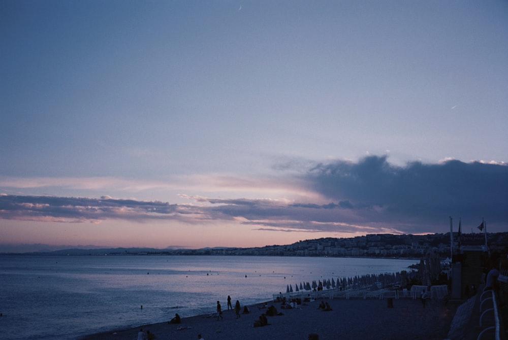 people on beach during sunset