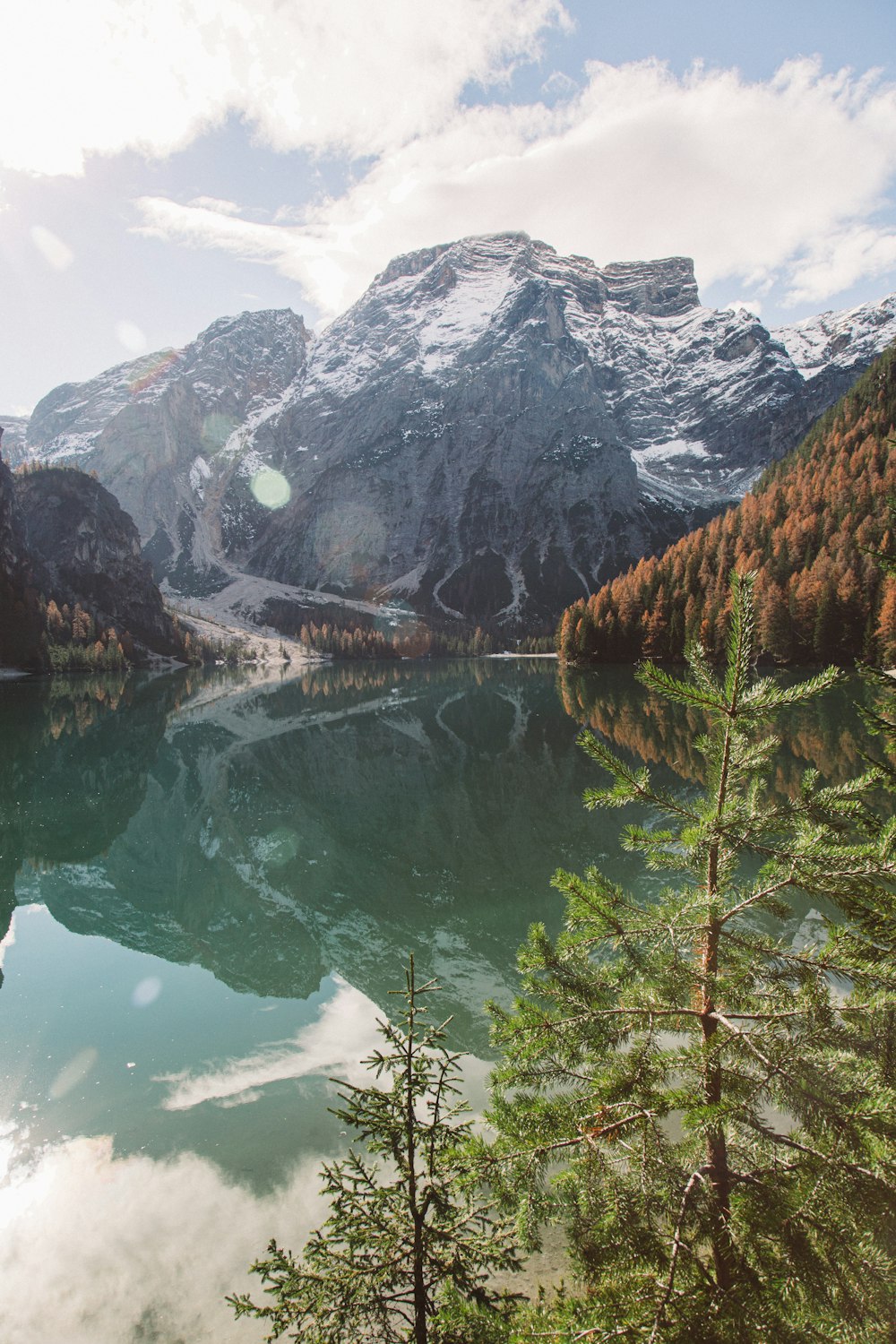 Grüne Bäume in der Nähe von See und Berg tagsüber