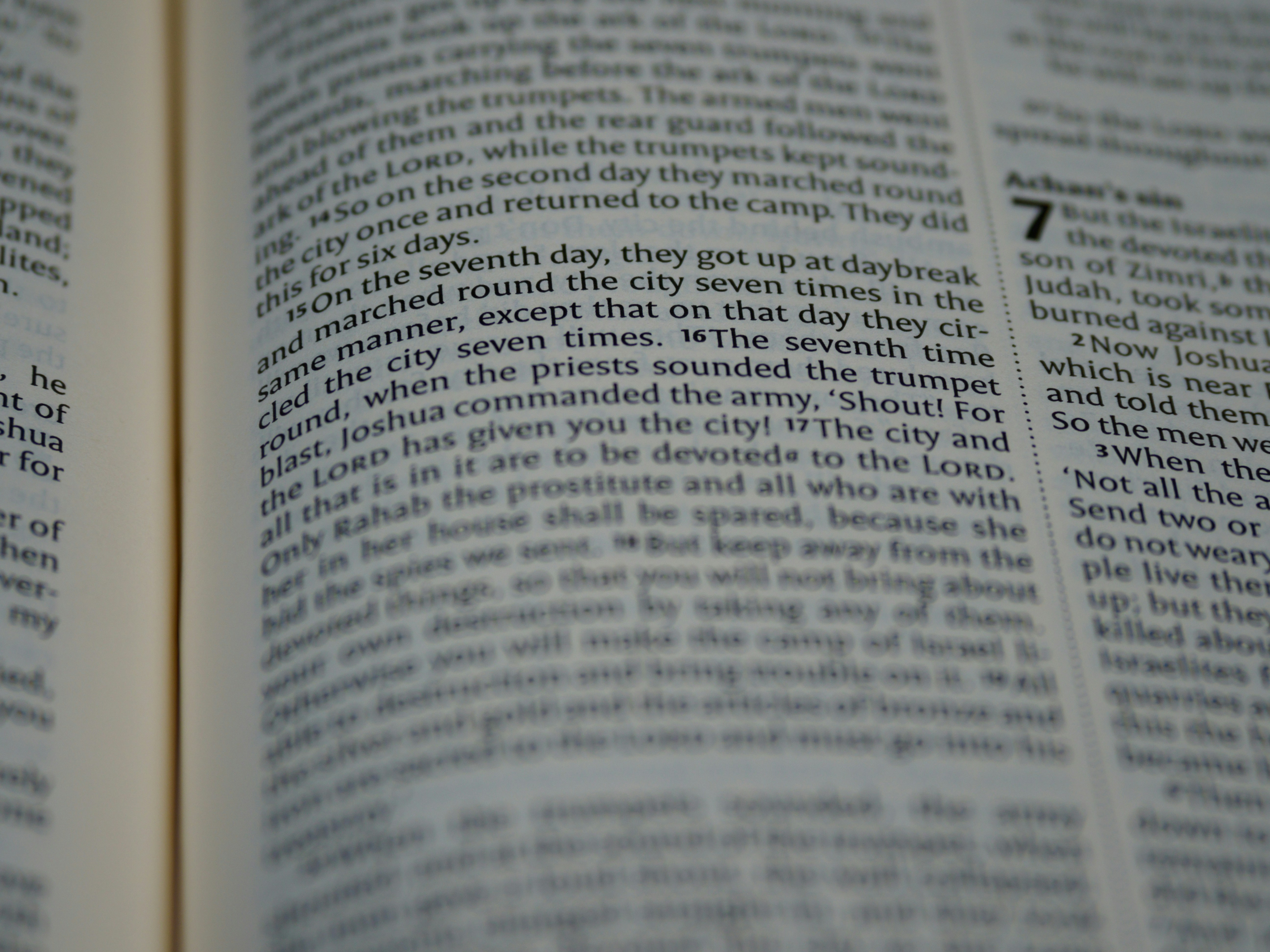 Photo by brett_jordan