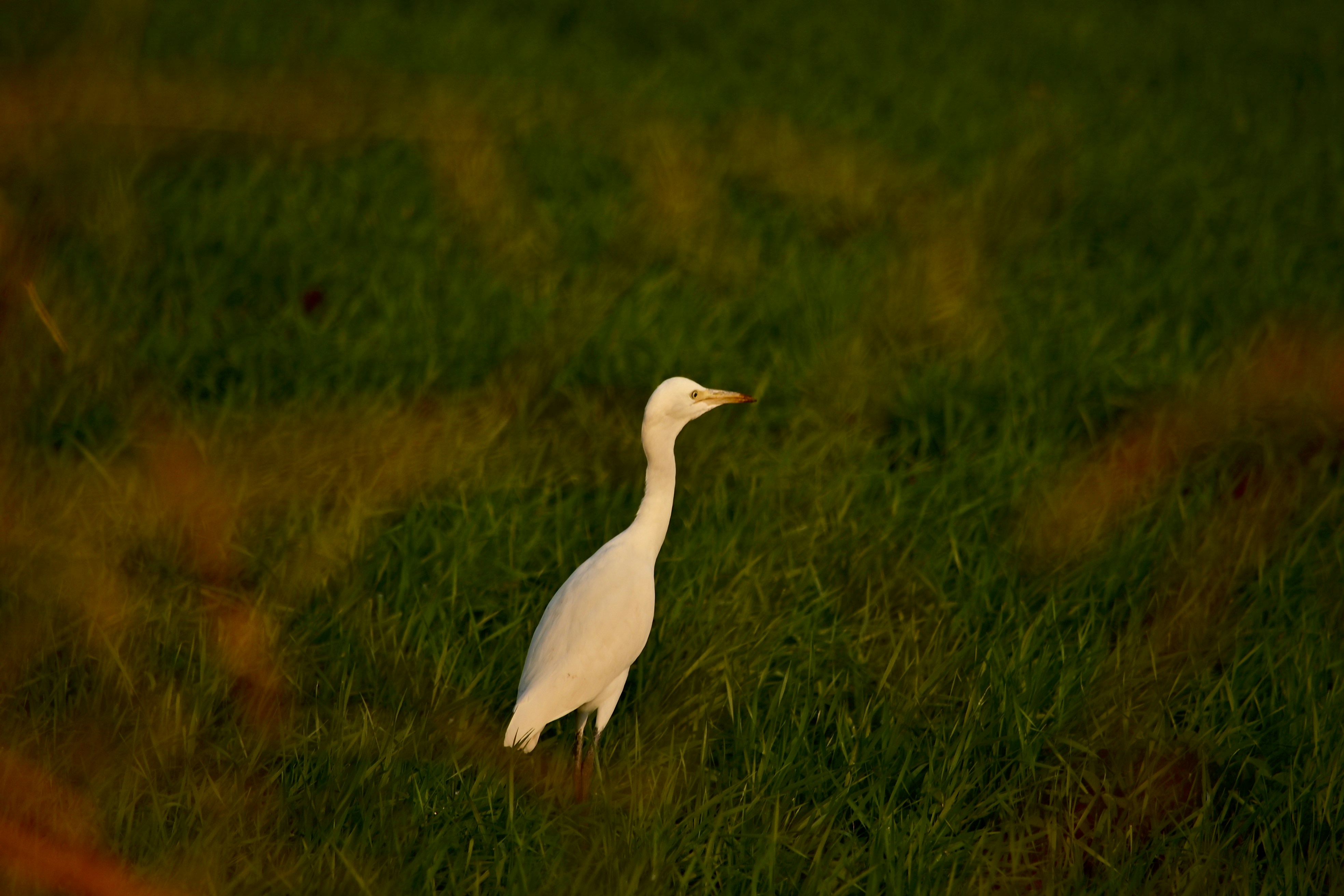 Photo by rrajputphotography