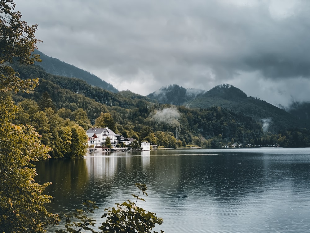 green trees near body of water during daytime