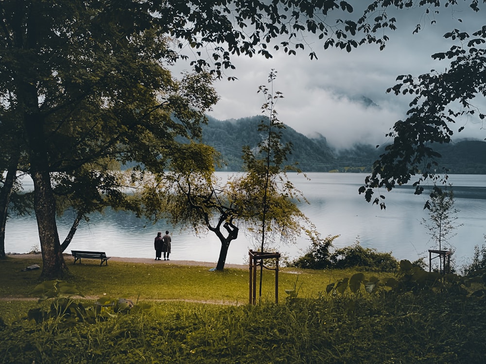 person standing on green grass field near body of water during daytime