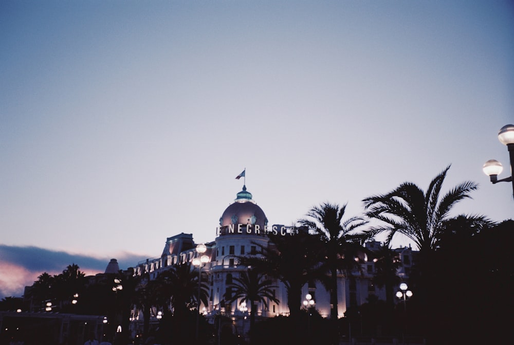 green palm trees near white and blue dome building during night time