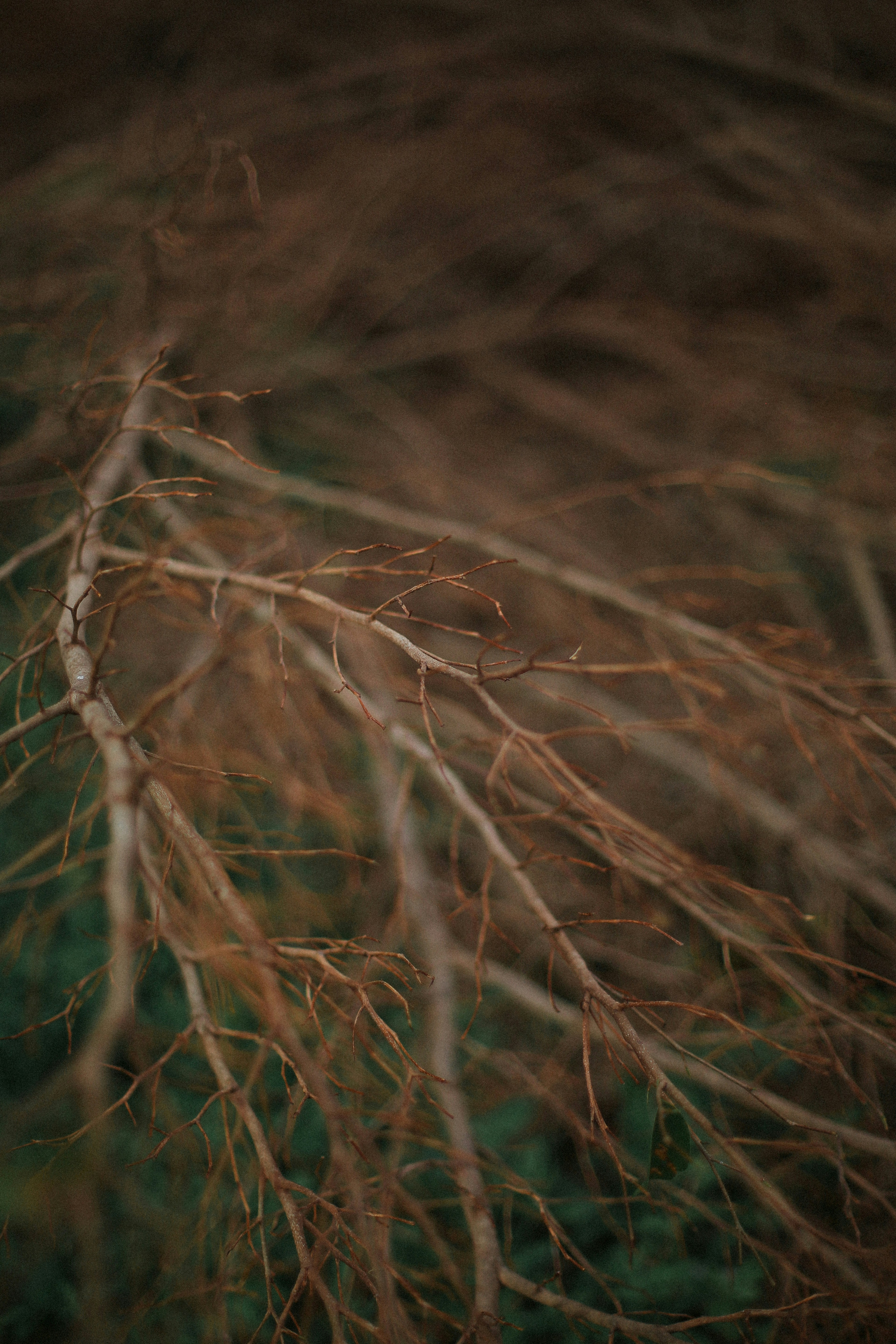 Photo by jericojay85