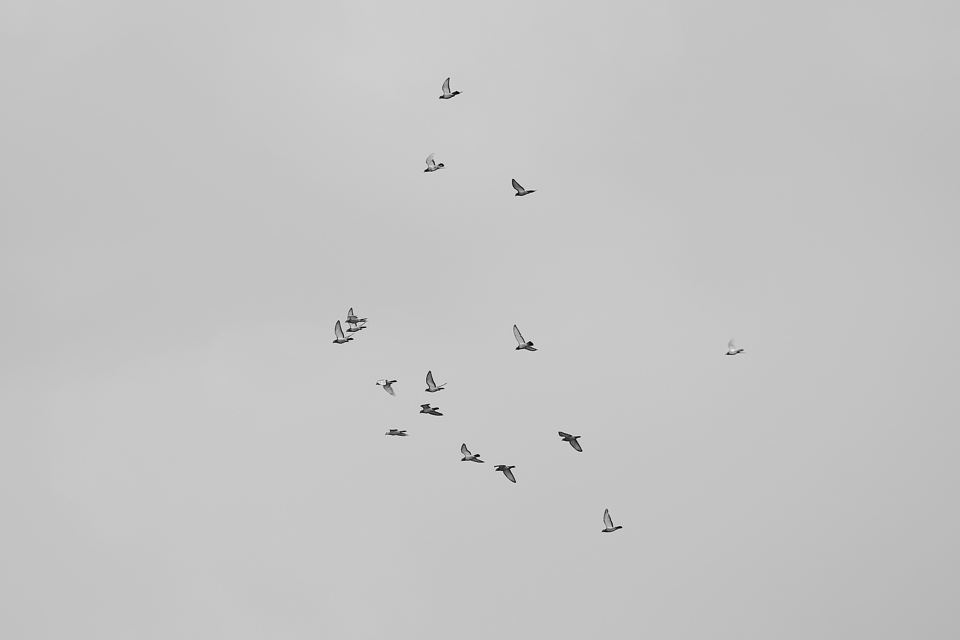 Photo by jericojay85