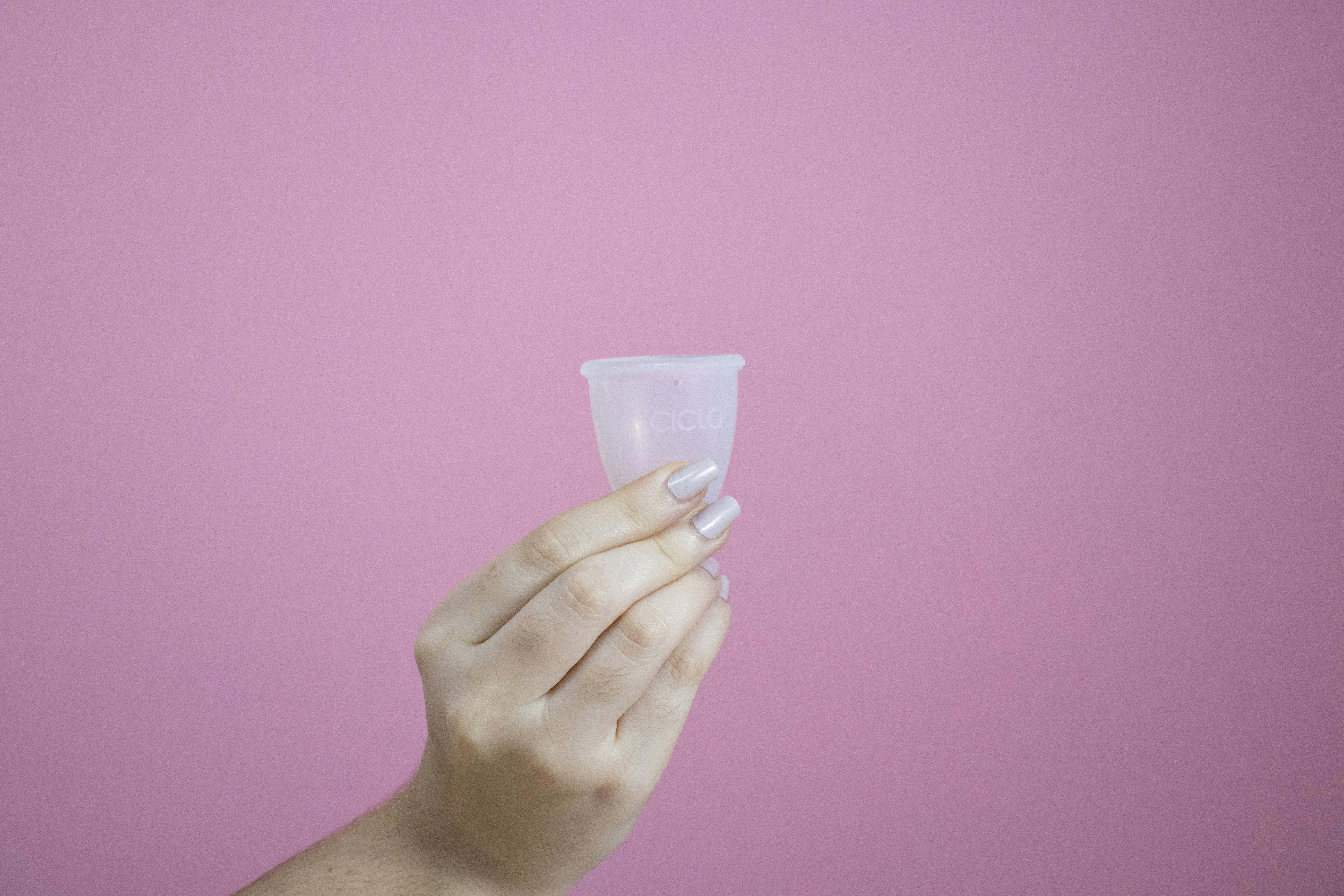 person holding white plastic cup