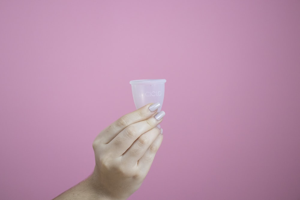 person holding white plastic cup