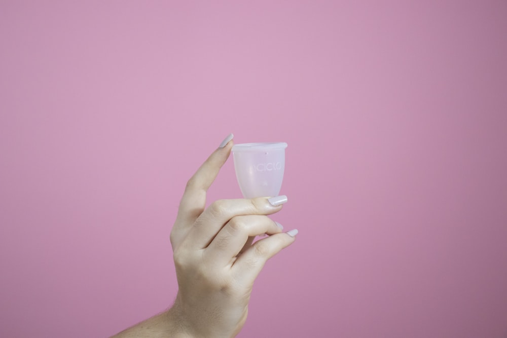 person holding white plastic cup