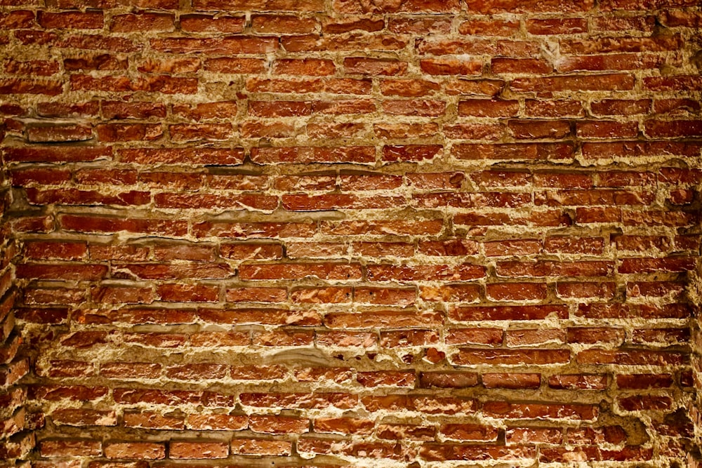 brown brick wall during daytime