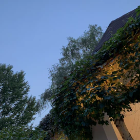 A serene evening scene with a woman in a deep peacock green nightie, softly lit by warm golden light.