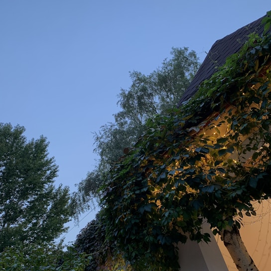 A cozy villa exterior at dusk, bathed in soft blue and green lighting, nestled among tall trees.