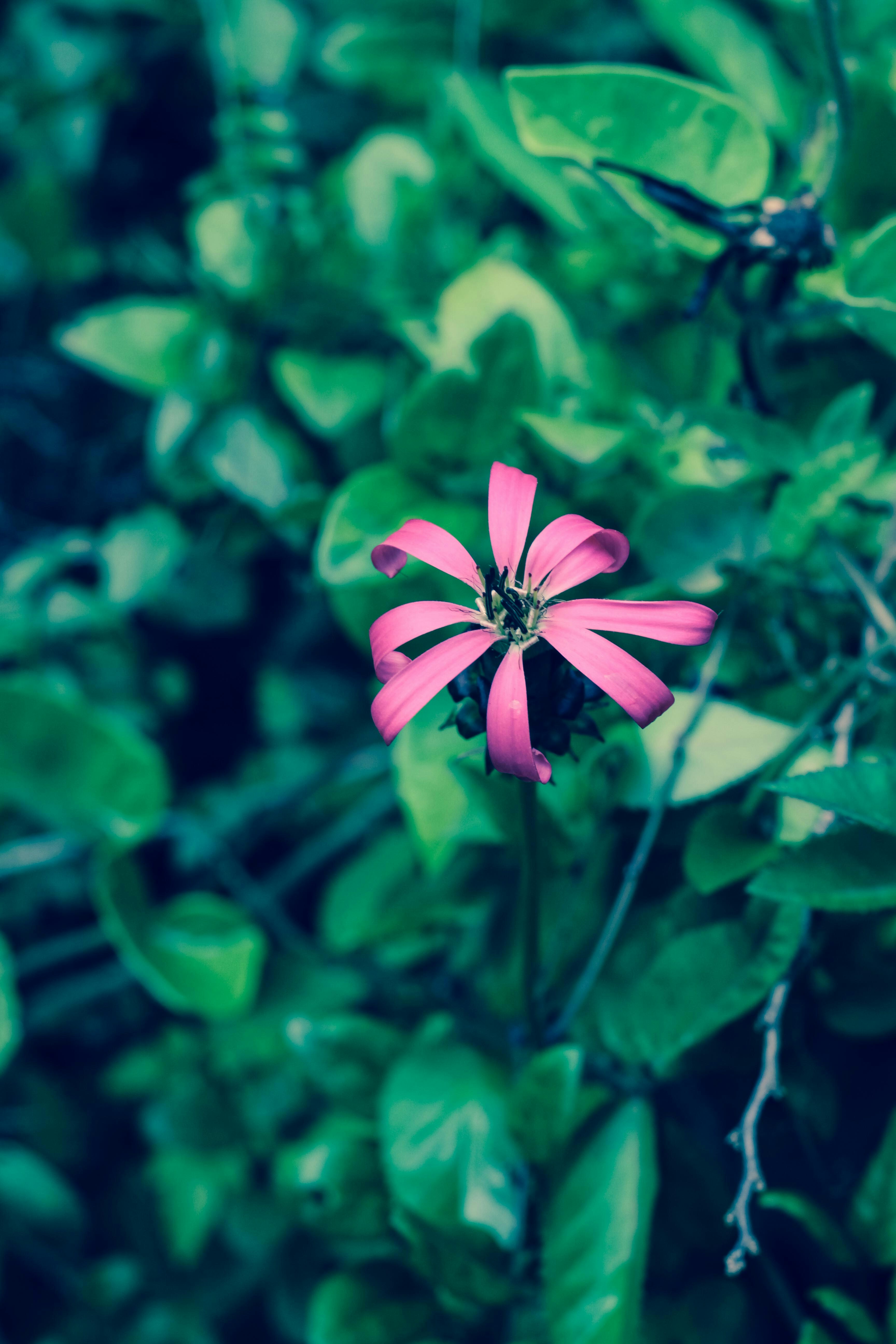 Photo by youwwwill