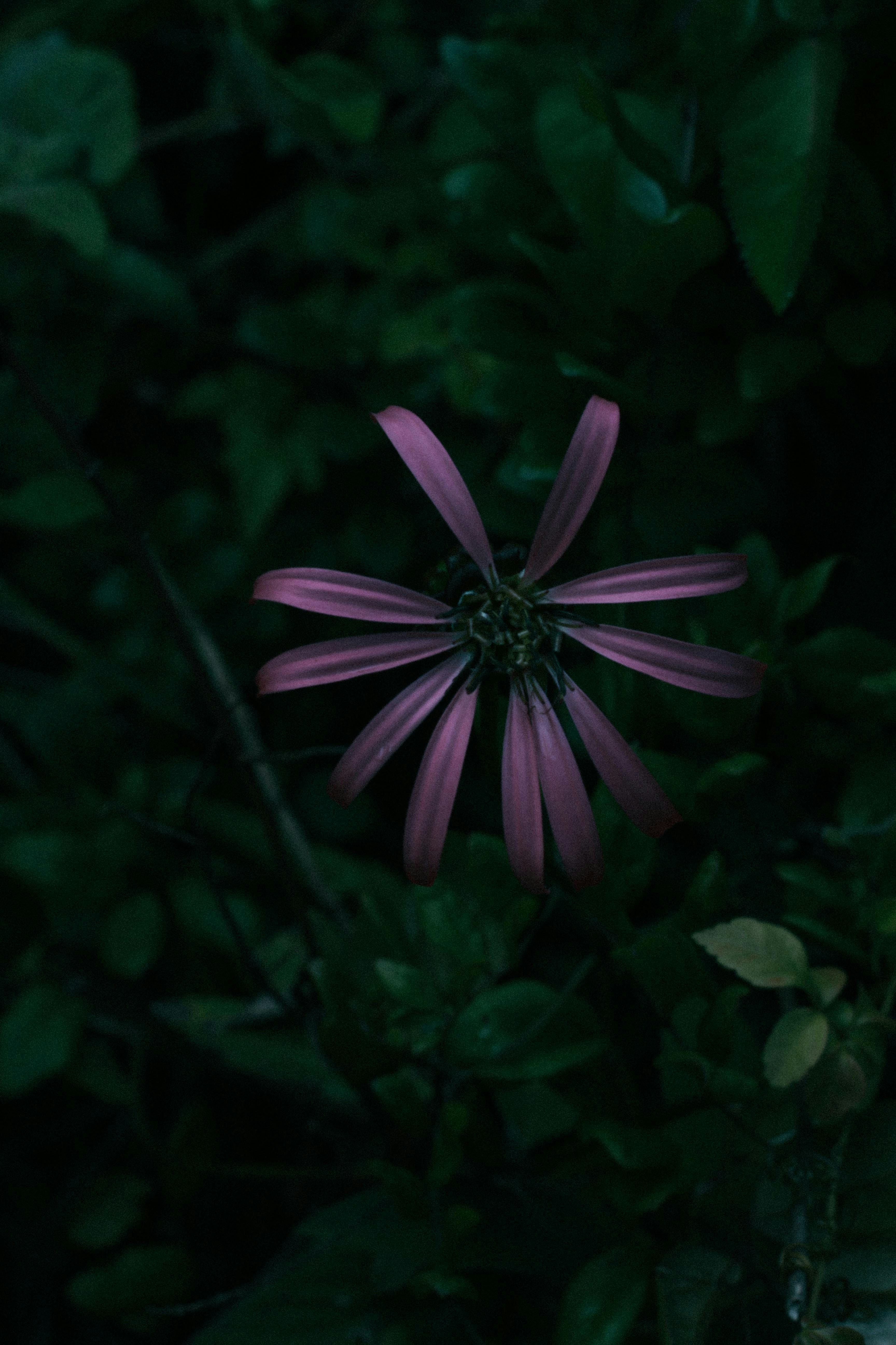 Photo by youwwwill