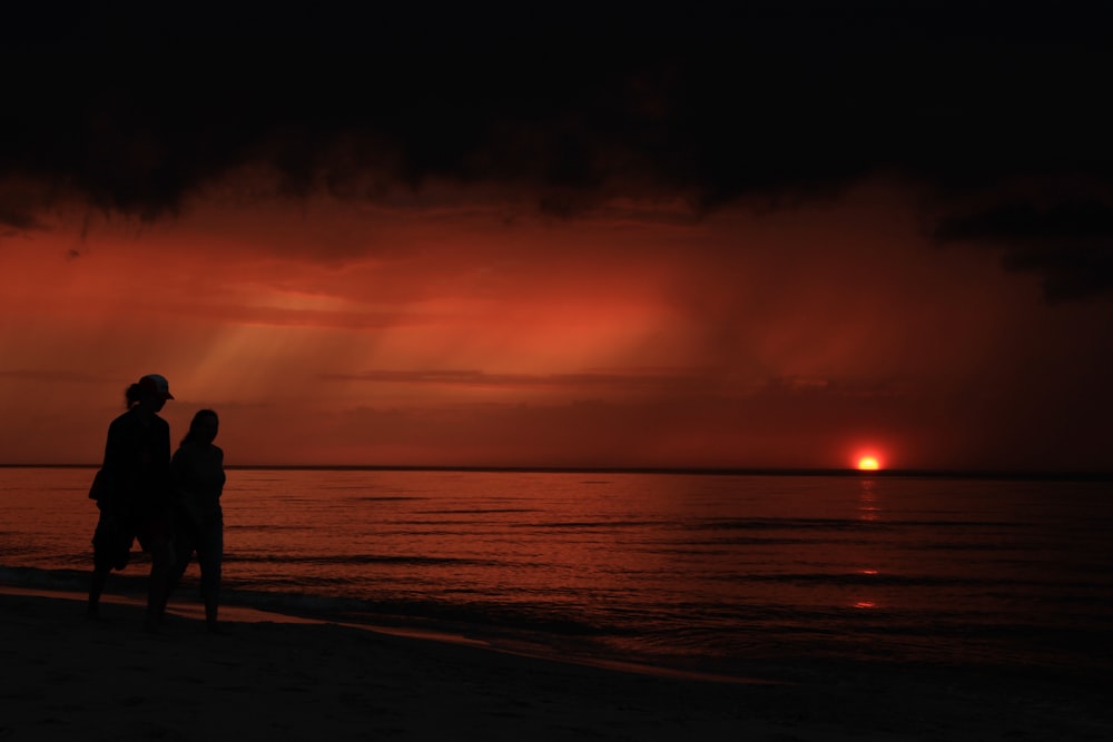 silhouette of person standing on beach during sunset