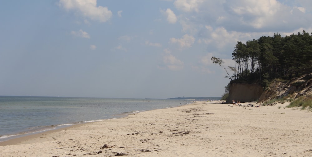 white sand beach during daytime