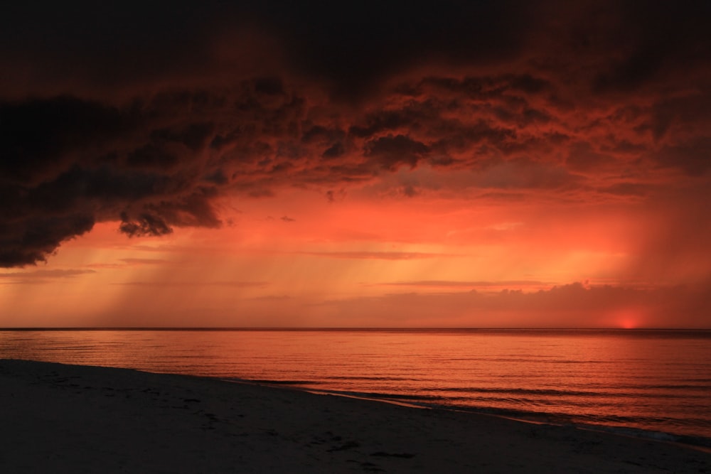 body of water during sunset