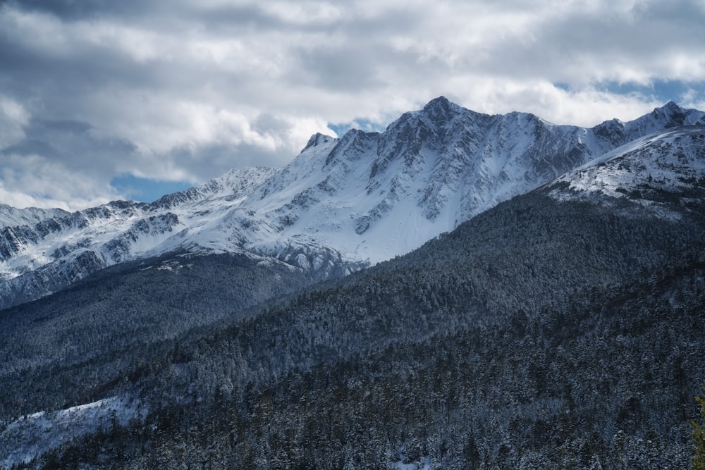昼間の曇り空の下、雪に覆われた山