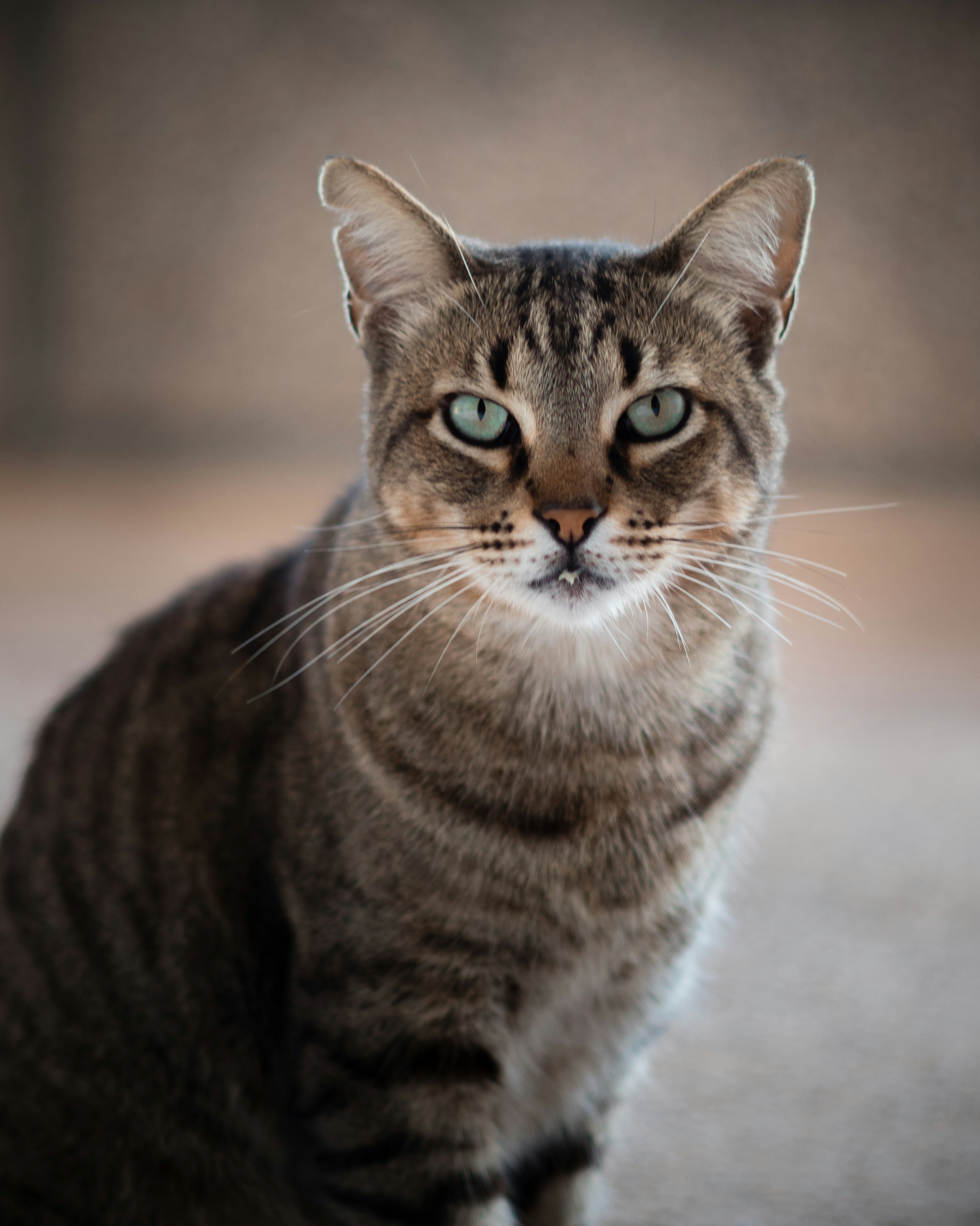 Photo by eugenproskouriakov