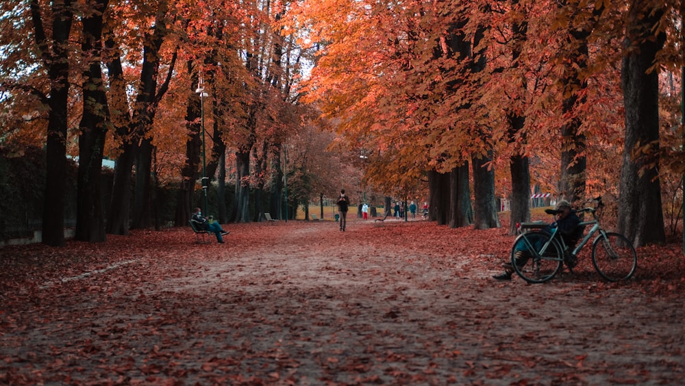 persone che camminano su un sentiero marrone circondato da alberi marroni durante il giorno