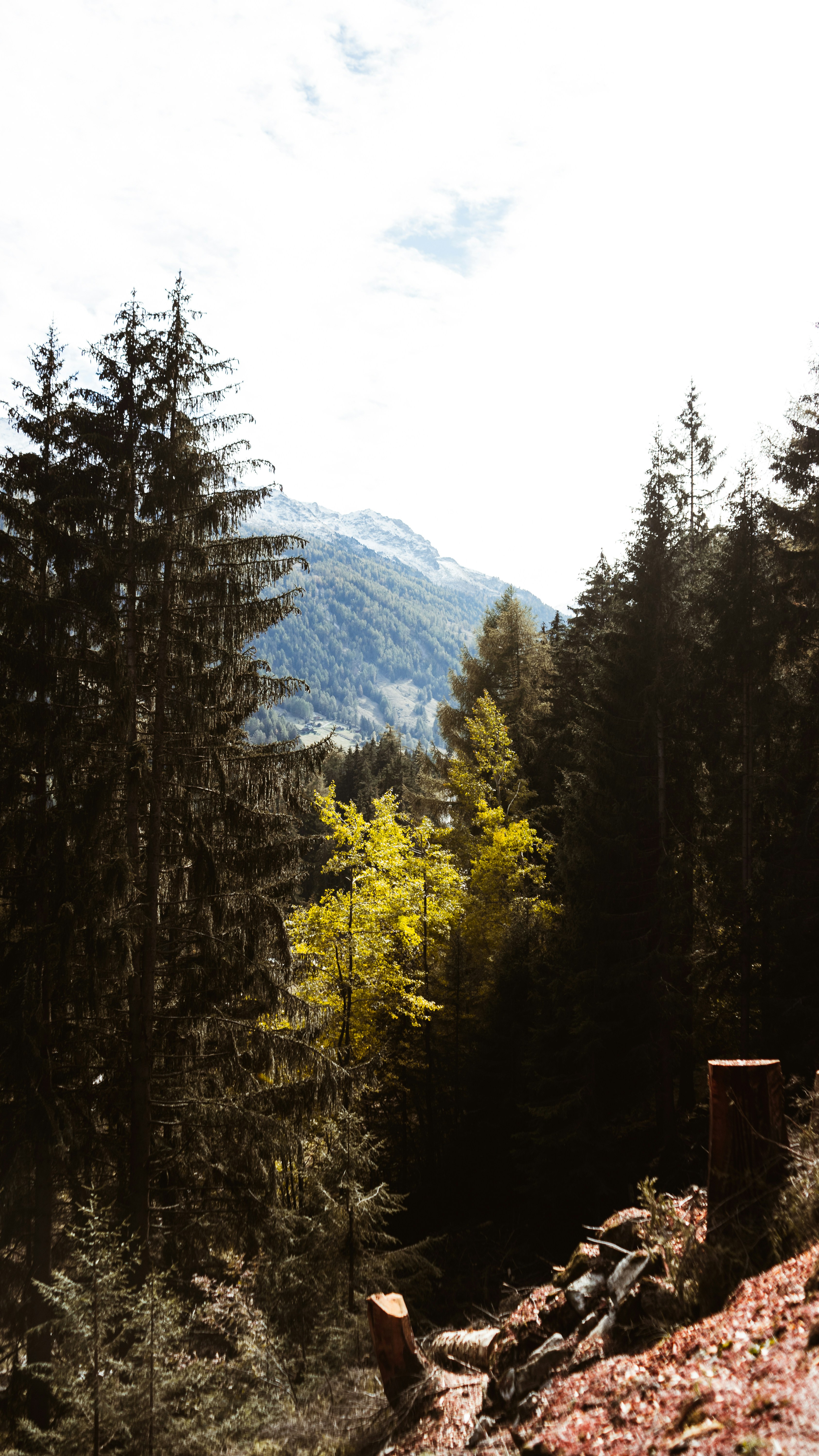 Photo by virussinside