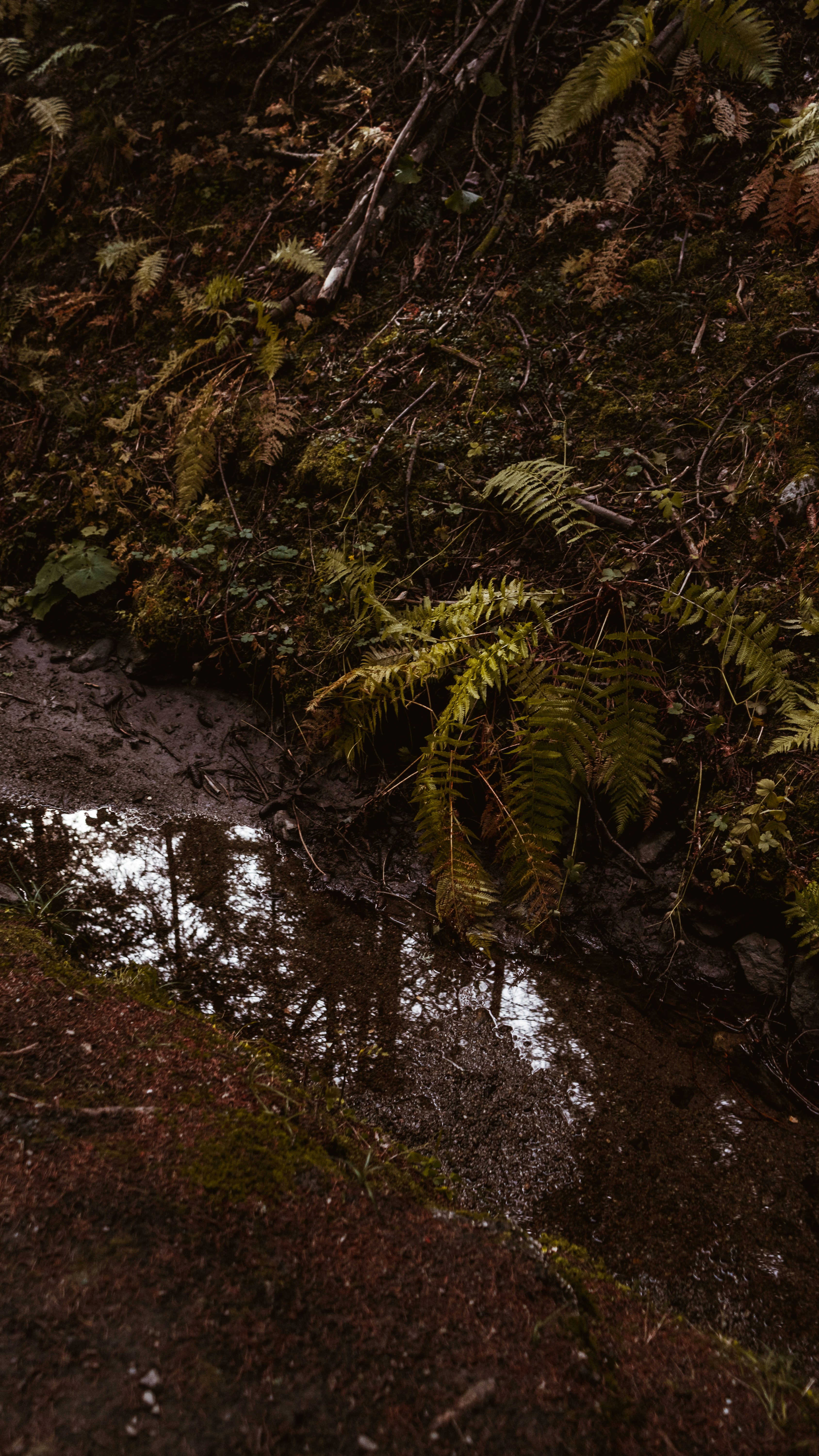 Photo by virussinside