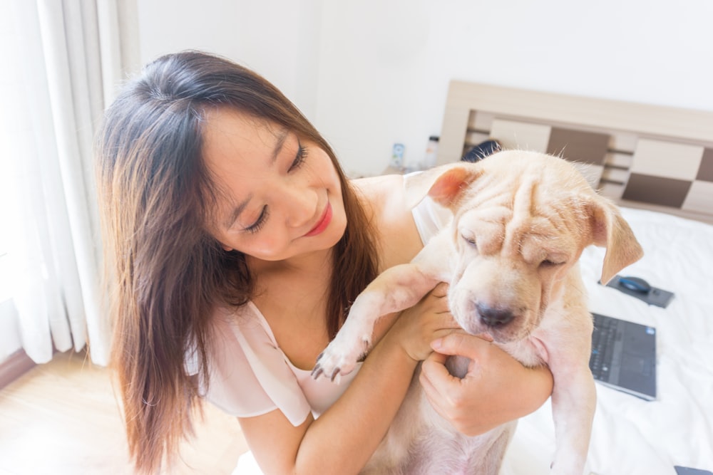 woman in white tank top hugging brown and white short coated dog