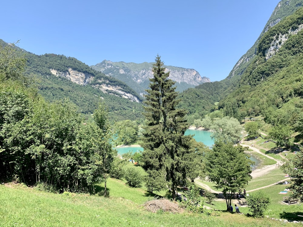 green trees and grass field near mountain under blue sky during daytime