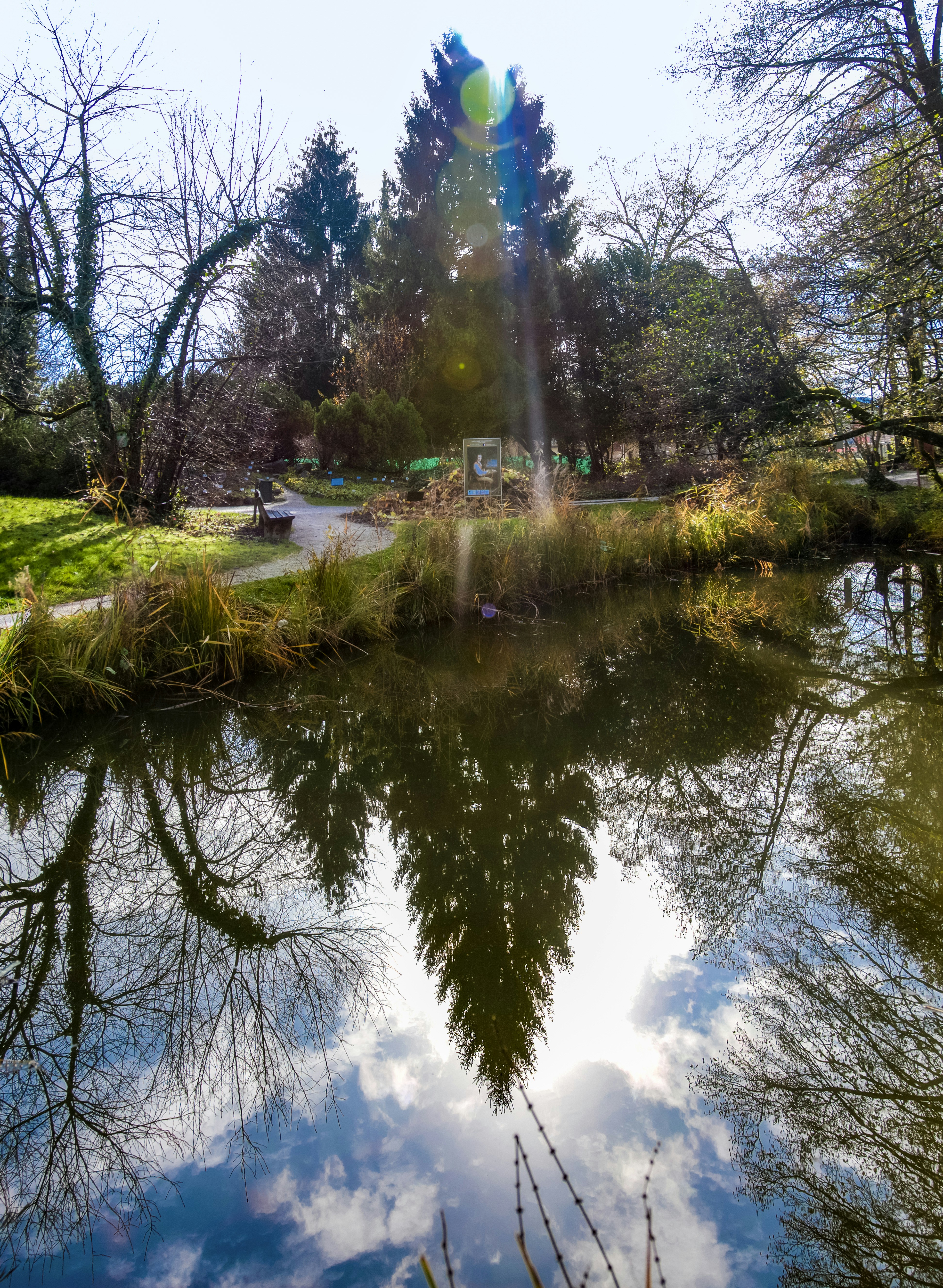 Photo by eugene_kuznetsov