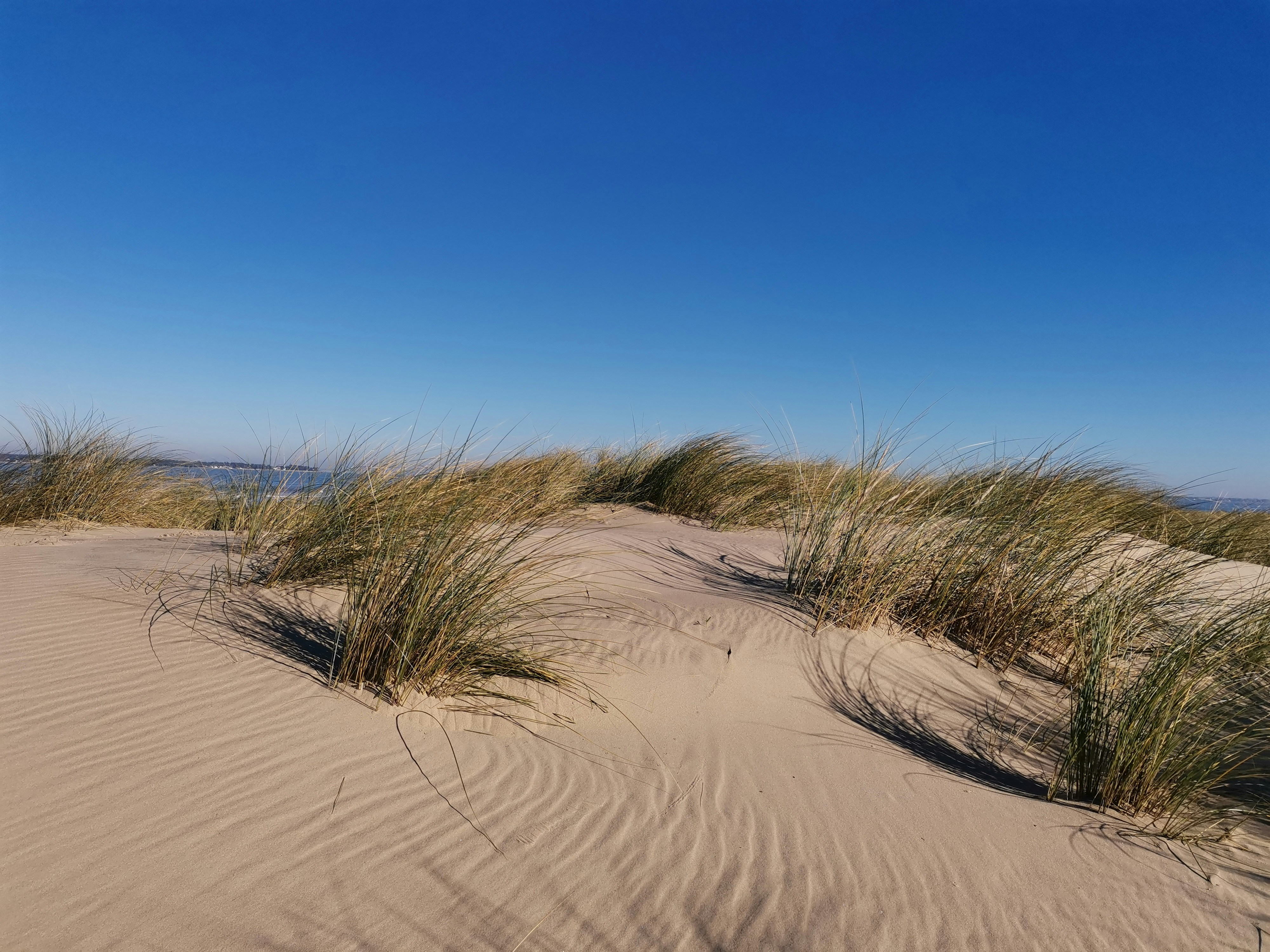 Photo by mathilde_plaud