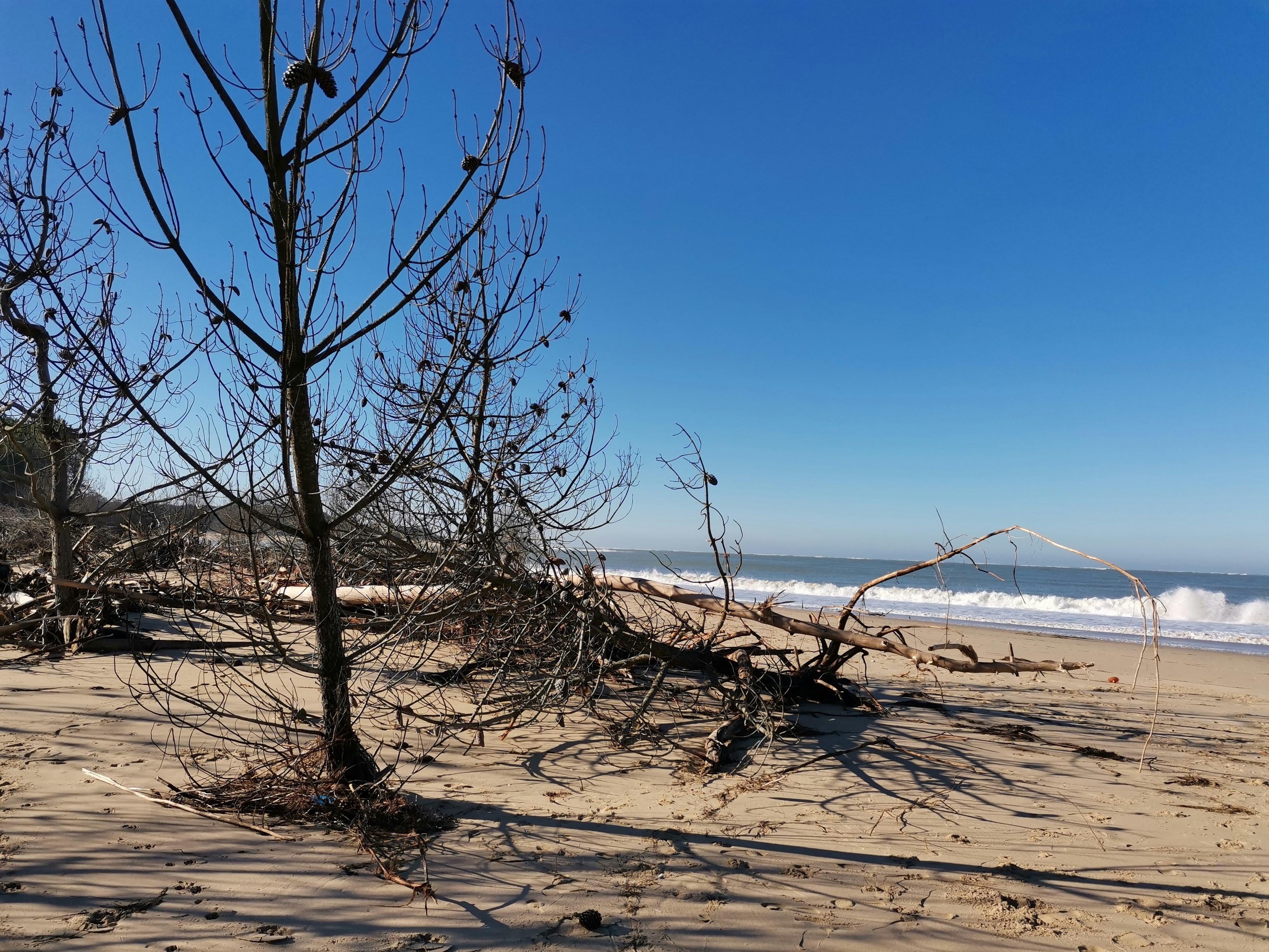 Photo by mathilde_plaud