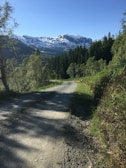 Mountain trail winding through lush green forests near the ski lodgings.